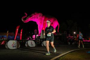 BIB: 
                            <button type="button" onclick="openModal(26533986)" class="btn btn-primary btn-sm float-right btn-popup" data-toggle="modal" data-target=".modal-high-quality">
                        <i class="fas fa-shopping-cart"></i> Add to Cart
                    </button>
                                            <button type="button" onclick="isThisMe(26533986, true)" class="btn btn-success btn-sm float-right btn-popup btn-isme hidden" data-toggle="tooltip" data-placement="bottom" title="นี่คือรูปของคุณใช่ไหม คลิกที่นี่เพื่อเอาเข้าอัลบั้ม">
                        <i class="fas fa-plus"></i> Add to album
                    </button>
                    <button type="button" onclick="isThisMe(26533986, false)" class="btn btn-warning btn-sm float-right btn-popup btn-isnotme hidden">
                        <i class="fas fa-ban"></i> Remove from album
                    </button>